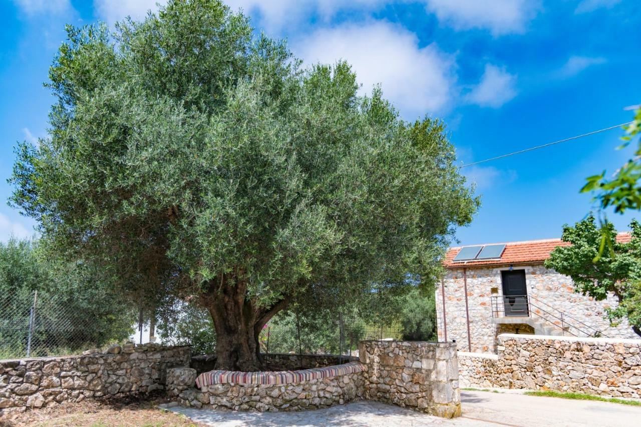 Private Villa Demetra 1768 With Pool - Close To Фискардо Екстериор снимка